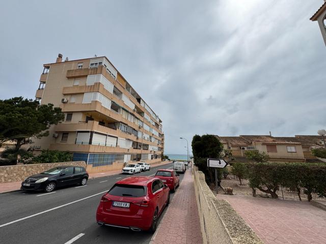 Local en Cabo Cervera photo 0