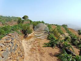 Finca con casa y bodega en Vilaflor photo 0