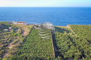 🌴Finca en primera línea del mar! 🌊 photo 0