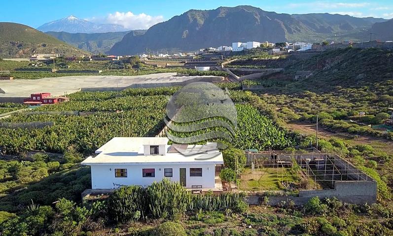 🌴Finca en primera línea del mar! 🌊 photo 0