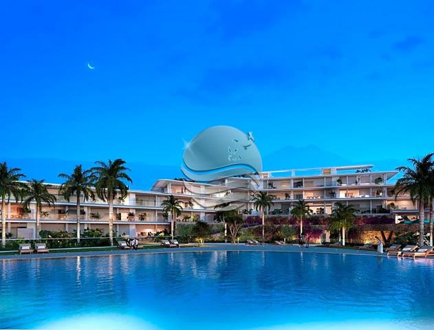 UN AUTÉNTICO SUEÑO HECHO REALIDAD photo 0