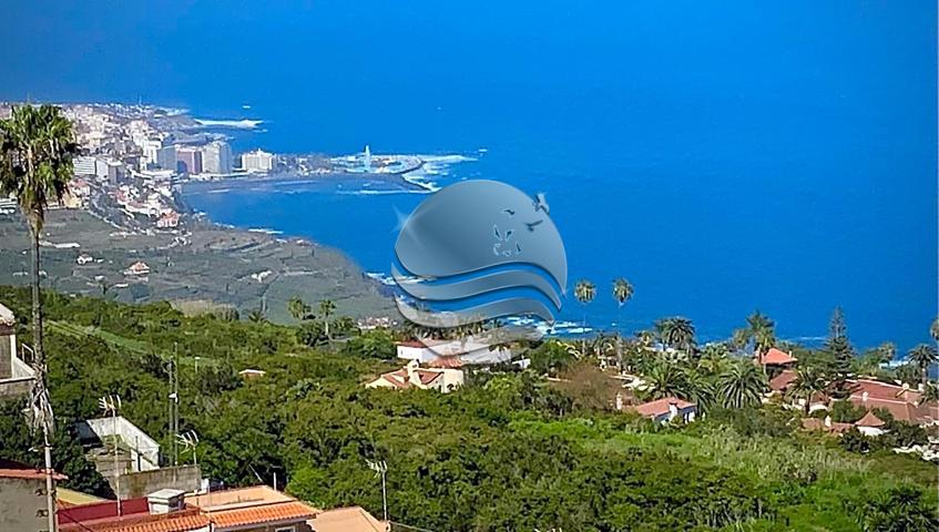 ✨ Una joya escondida en Santa Úrsula photo 0