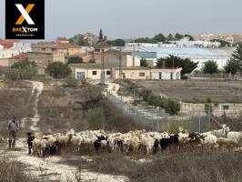 ESTUPENDO TERRENDO EN BULLAS photo 0