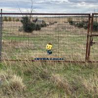 Se vende Finca de 120.000 metros cuadrados a 8 km de Salamanca photo 0