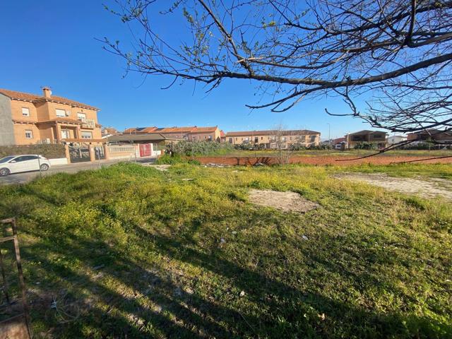 Terreno Urbanizable En venta en Calle Del Vía Crucis, El Álamo photo 0