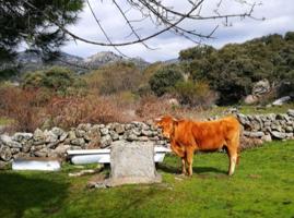 FINCA RUSTICA EN FRESNEDILLAS DE LA OLIVA. MADRID photo 0