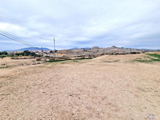 Terreno Urbanizable En venta en Partida Agua Amarga-Paraje Los Hoyos , Monóvar-Monòver photo 0