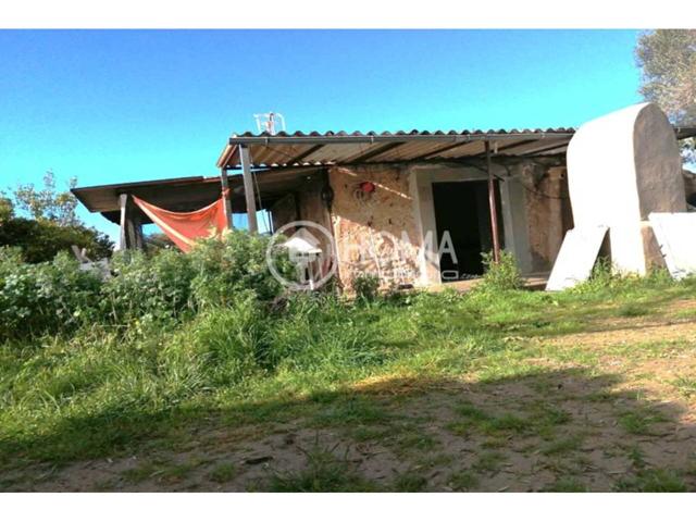 ¡OPORTUNIDAD terreno con CASA de APEROS en Sineu! photo 0