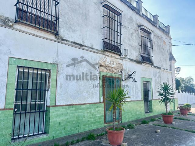 FINCA RÚSTICA CON VIVIENDA Y BODEGA CENTENARIA photo 0