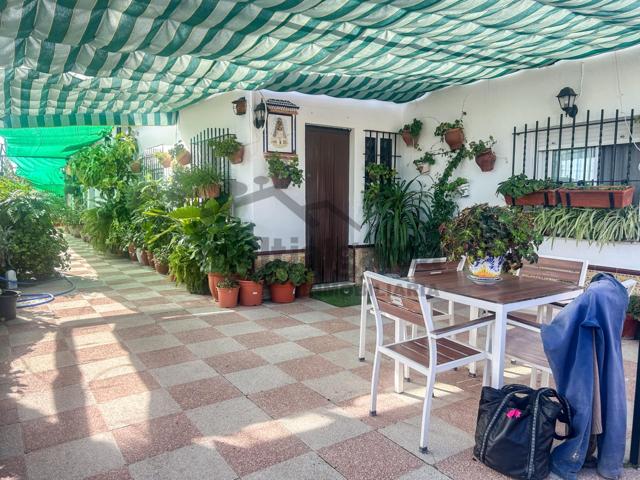 FINCA RÚSTICA EN VETA DE LA SERRANA photo 0