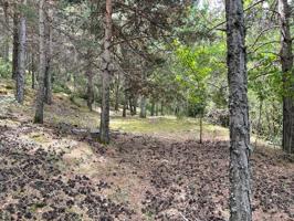 Terreno en Juberri photo 0