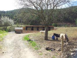 Finca rústica en Alàs con casa de payés reformada y modernizada. photo 0