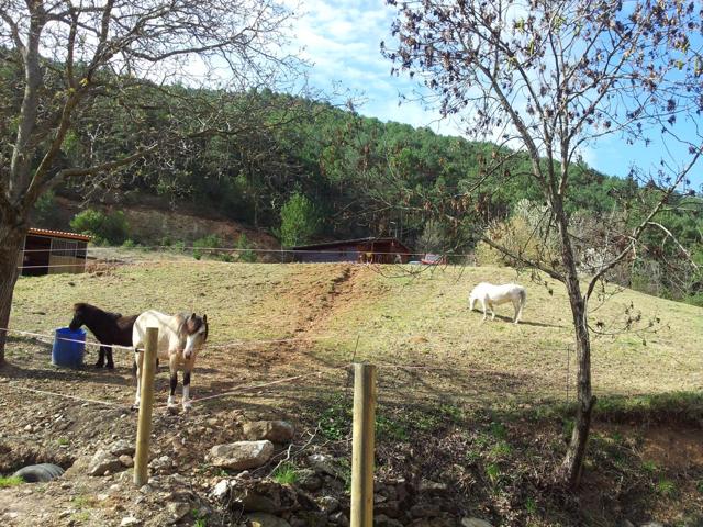 Finca rústica en Alàs con casa de payés reformada y modernizada. photo 0