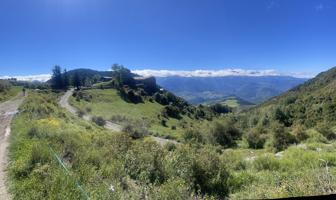 Finca rústica en explotación de unas 400 hectáreas en la Cerdanya photo 0