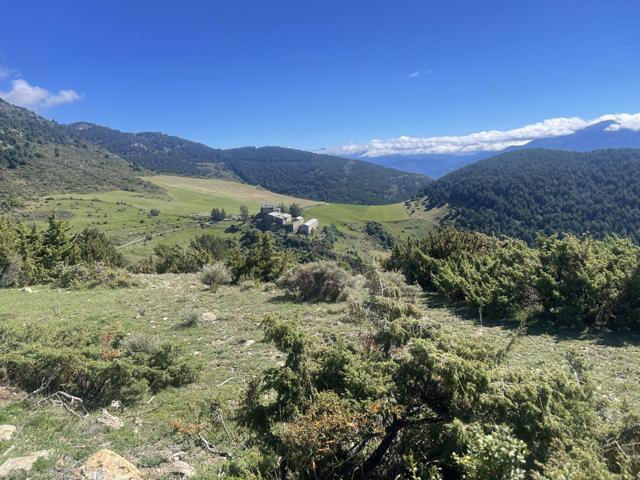 Finca rústica en explotación de unas 400 hectáreas en la Cerdanya photo 0