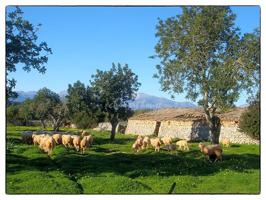 Exclusiva finca con vistas despejadas en Son Marrón photo 0