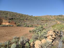 Finca Rústica en Venta en La Cisnera Arico, S. C. Tenerife photo 0