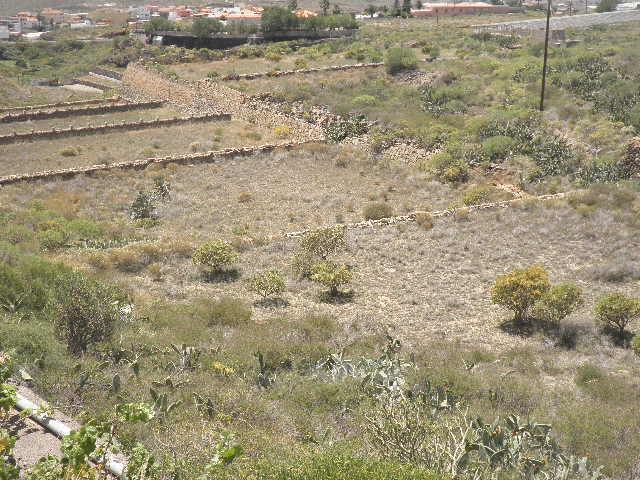 Terreno De Cultivo en Venta en San Miguel, S. C. Tenerife photo 0
