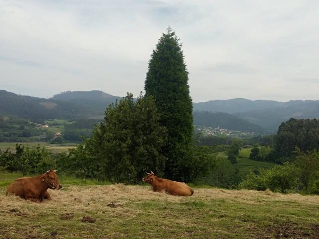 Terreno Urbano en Venta en Pravia, Asturias photo 0