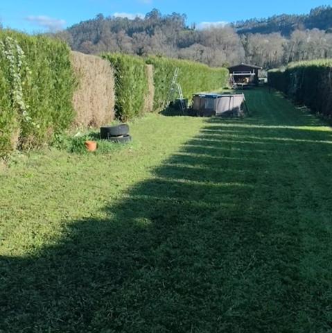 Finca Rústica en Venta en Pravia, Asturias photo 0