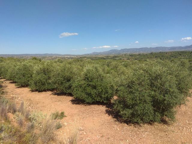 Finca Rústica en Venta en Xàtiva, Valencia photo 0