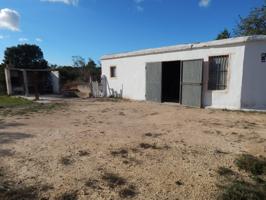 Terreno De Cultivo en Venta en Torrent, Valencia photo 0