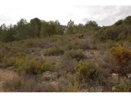 Terreno Urbano en Venta en Monserrat, Valencia photo 0