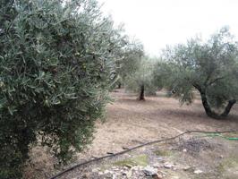 Terreno en Venta en La Guijarrosa, Córdoba photo 0