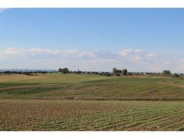 Terreno No Urbanizable en Venta en La Carlota, Córdoba photo 0