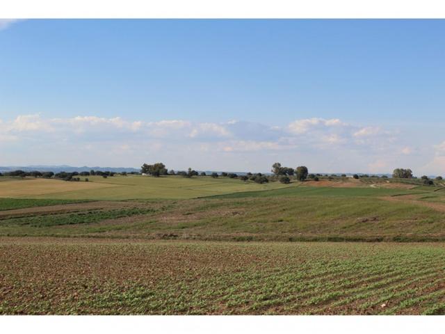 Terreno No Urbanizable en Venta en La Carlota, Córdoba photo 0