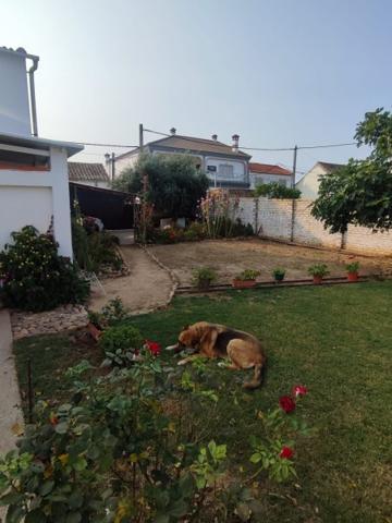 Vivienda en Venta en La Chica Carlota, Córdoba photo 0