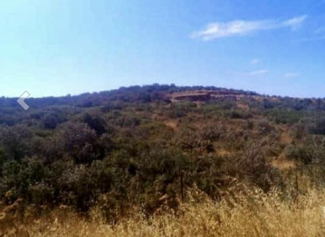 Terreno De Cultivo en Venta en Atalaya, Badajoz photo 0