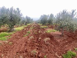 Terreno De Cultivo en Venta en Santa Marta, Badajoz photo 0