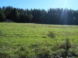 Terreno No Urbanizable en Venta en Monforte de Lemos, Lugo photo 0