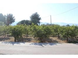 Terreno No Urbanizable en Venta en Aljucer, Murcia photo 0