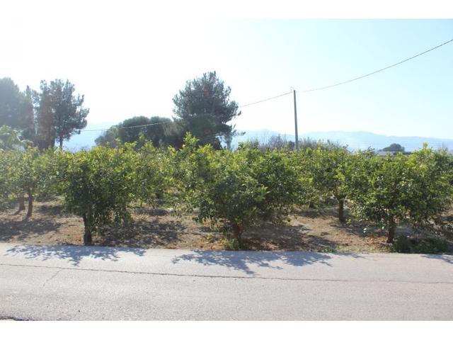 Terreno No Urbanizable en Venta en Aljucer, Murcia photo 0