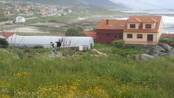 Terreno en venta en Oia de 5000 m2 photo 0
