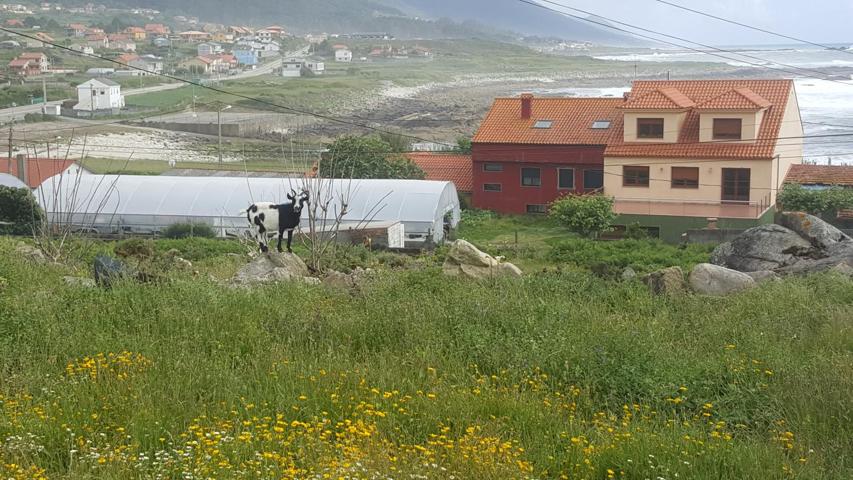 Terreno en venta en Oia de 5000 m2 photo 0