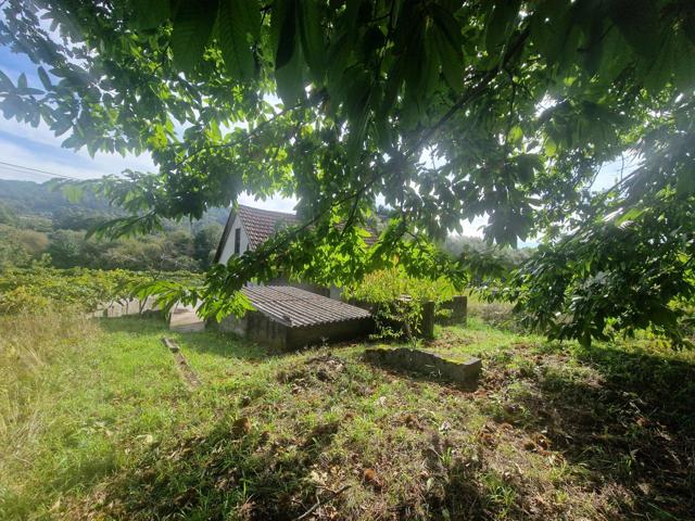 TRANQUILIDAD🐦+ CAMPO🌾 +MONTAÑA ⛰️+NATURALEZA🦋+ RELAX🧘♀️🧘♂️ photo 0