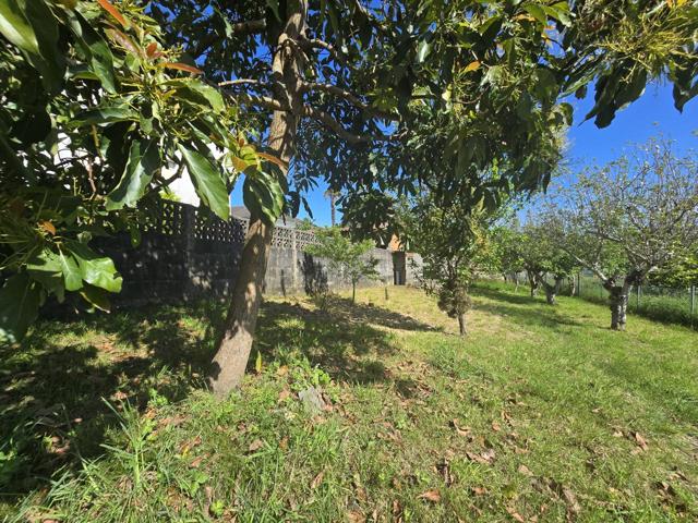 EDIFICABLE 🏡+LLANO🌎+ SOLEADO+🌞 ALTO😎 photo 0