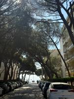 Apartamento - Platja d Aro photo 0