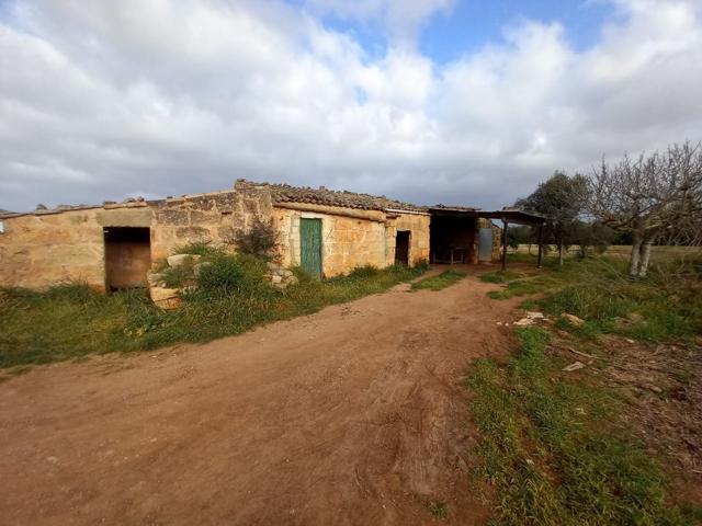Finca Rústica .208.000.-entre Muro y Lubi- a reformar photo 0