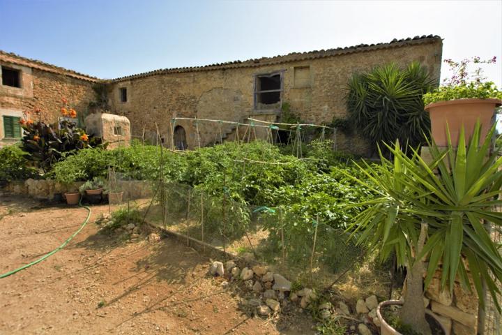 125 hectáreas para energéticas o cultivo más casas photo 0