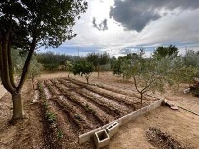 FINCA RUSTICA CALVIA pueblo photo 0