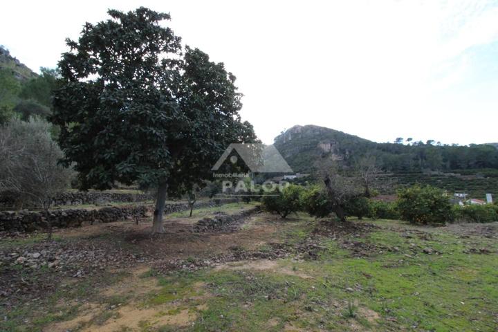 Terreno en venta en La Barraca de Aguas Vivas de 28897 m2 photo 0