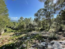 Terreno en venta en Carcaixent de 862 m2 photo 0