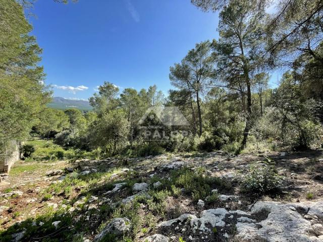 Terreno en venta en Carcaixent de 862 m2 photo 0
