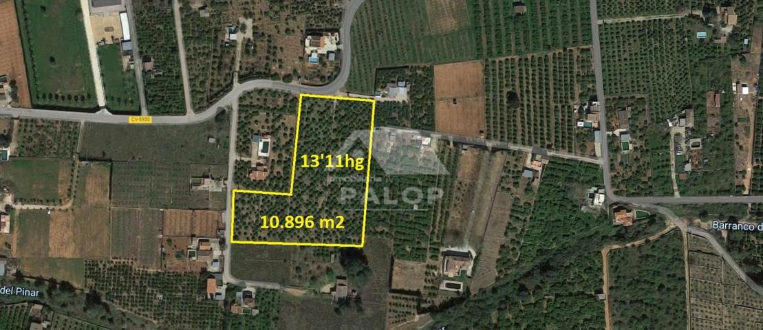 Finca Rústica en venta en Carcaixent de 10896 m2 photo 0