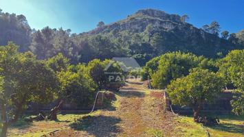 Finca Rústica en venta en La Barraca de Aguas Vivas de 44375 m2 photo 0