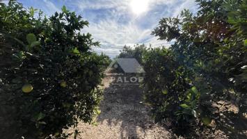 Finca Rústica en venta en La Pobla Llarga de 8616 m2 photo 0